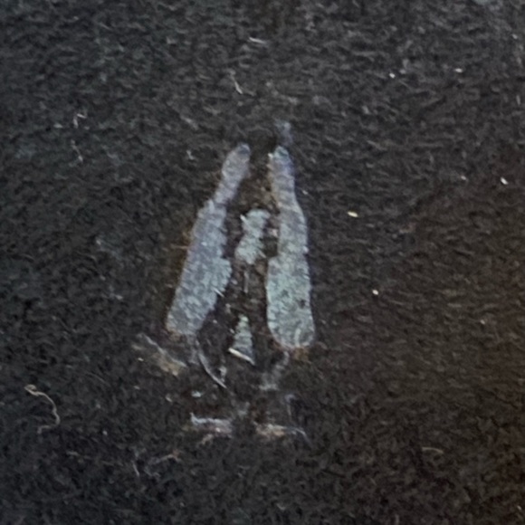 NIB HUSH PUPPIES Bailey Chukka Booties  Plush Faux Fur Lining 7.5 Medium width - Picture 6 of 8